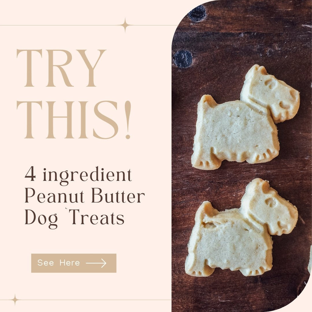 4 Ingredient Simple Dog Treats To Try At Home - Le Wag