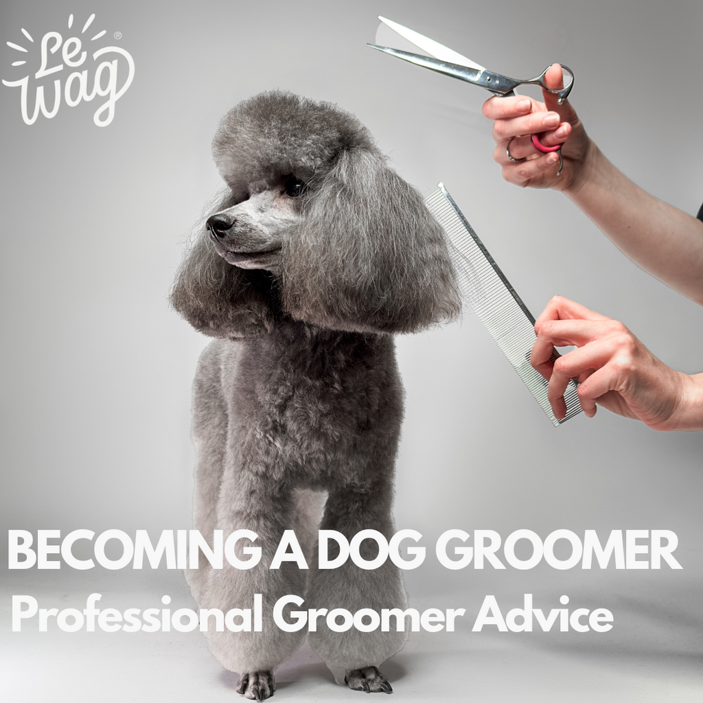 Becoming a dog groomer in London