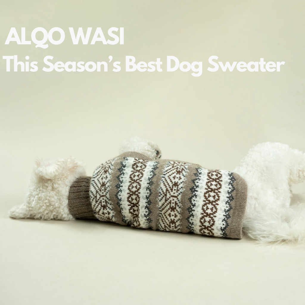 Best Dog Sweater London