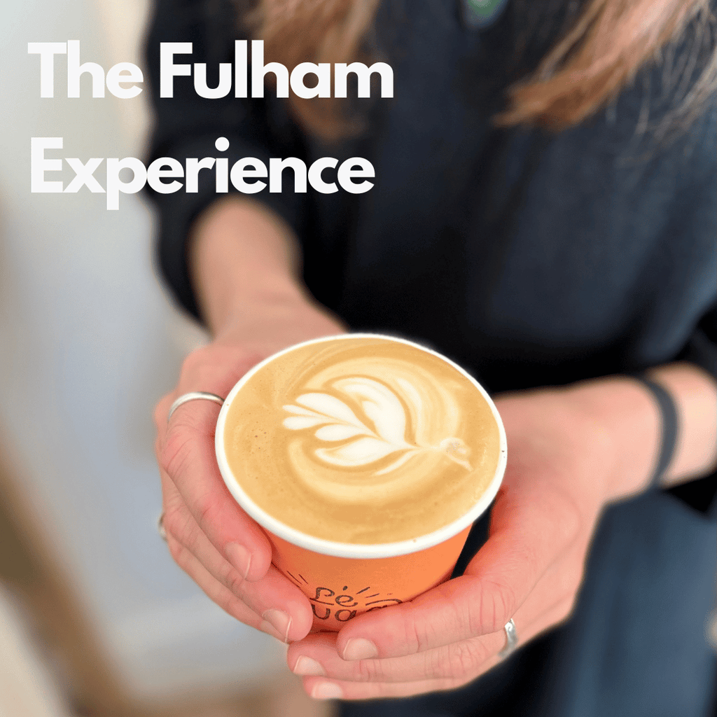 The Fulham London Dog grooming experience