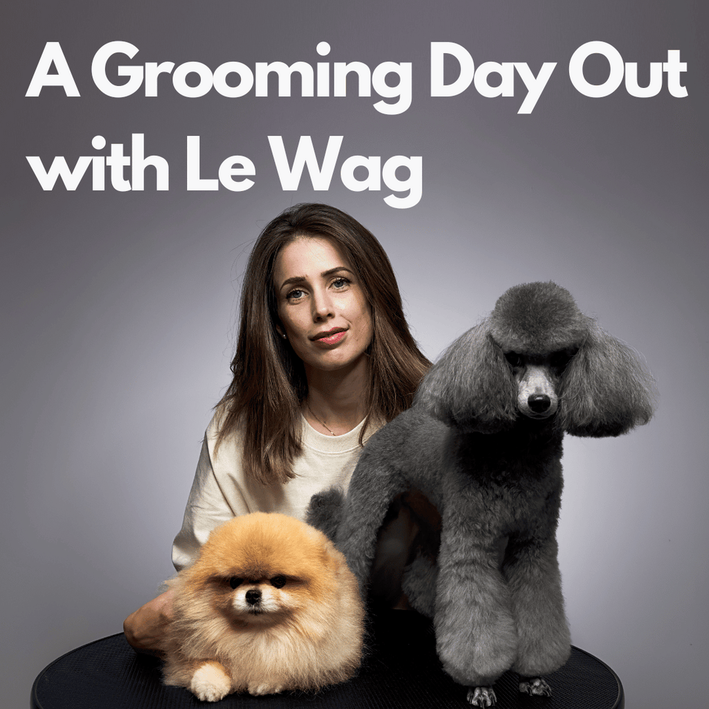 Dog-Friendly Cafes in London: A Grooming Day Out with Le Wag