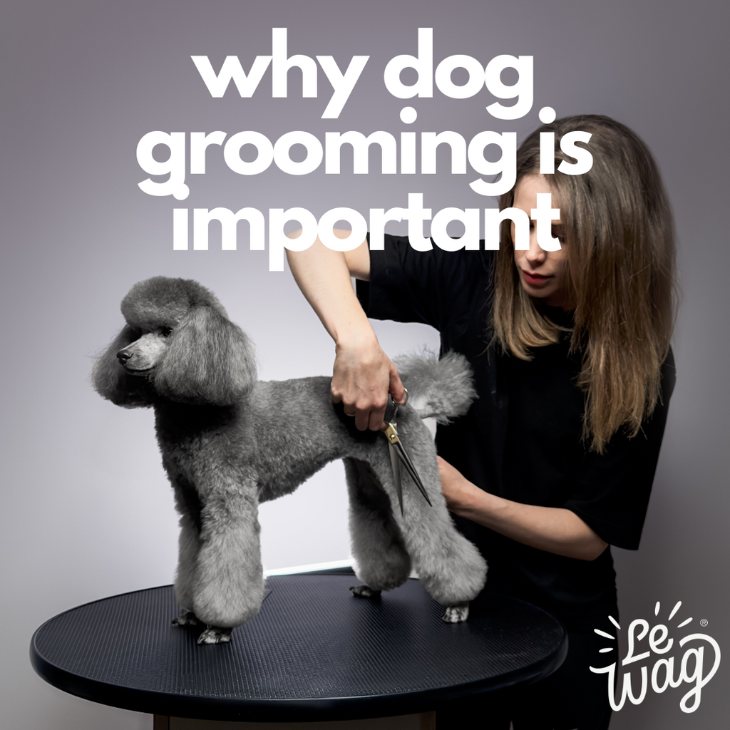 Le Wag Grooming a Dog