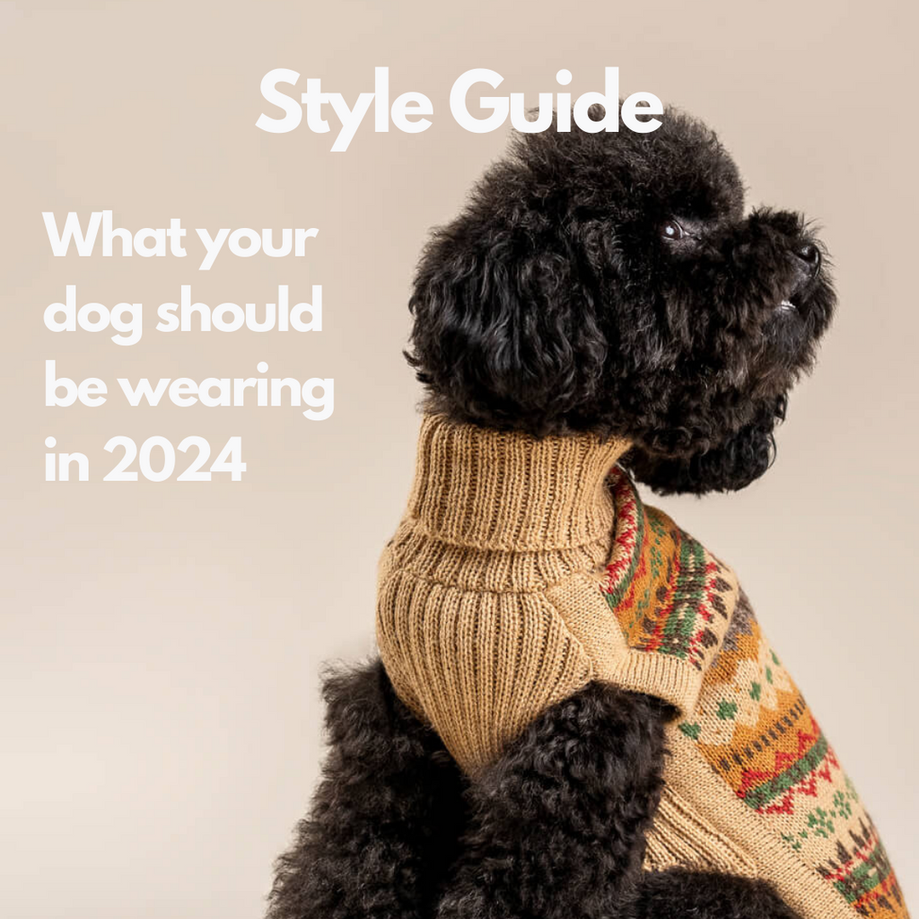 Le Wag Style Guide - What your dog should be wearing in 2024