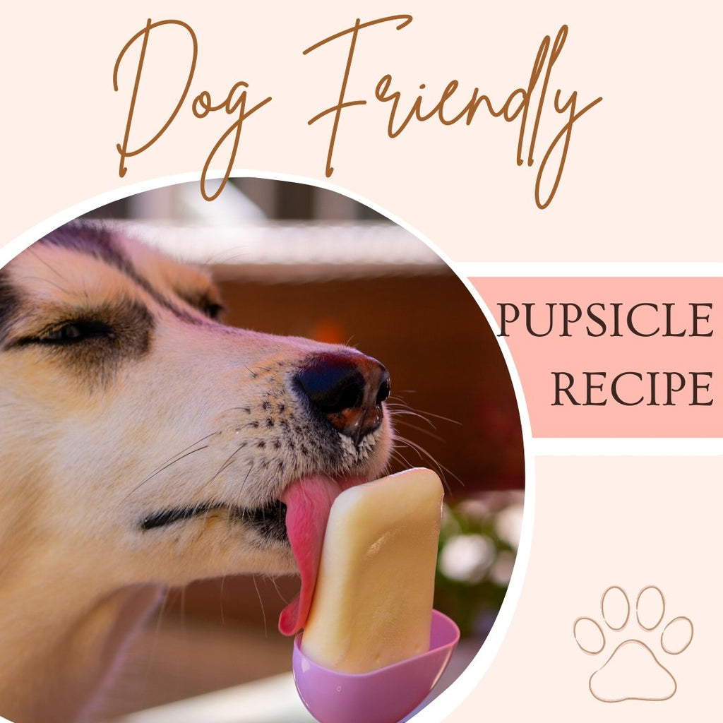 DIY Pupsicle That Will Keep Your Dog Cool this Summer - Le Wag