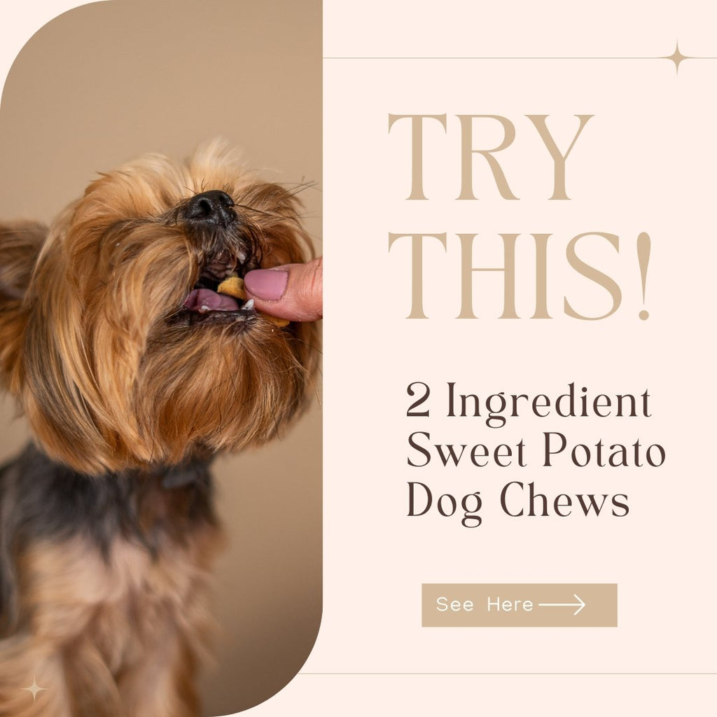 Easy Two Ingredient Sweet Potato Dog Chews - Le Wag
