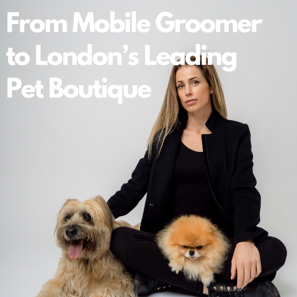 London's Leading Pet Boutique