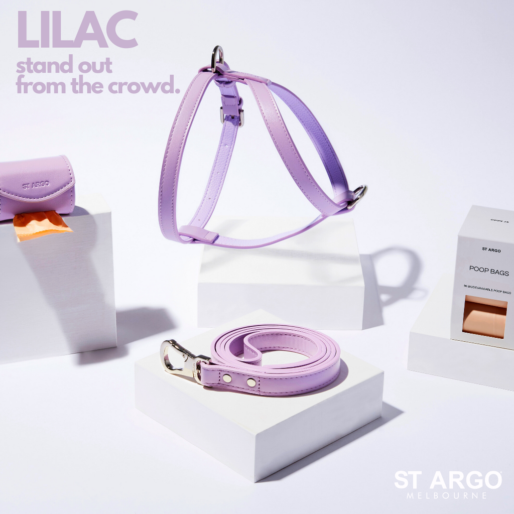 Lilac Dog Products ST ARGO