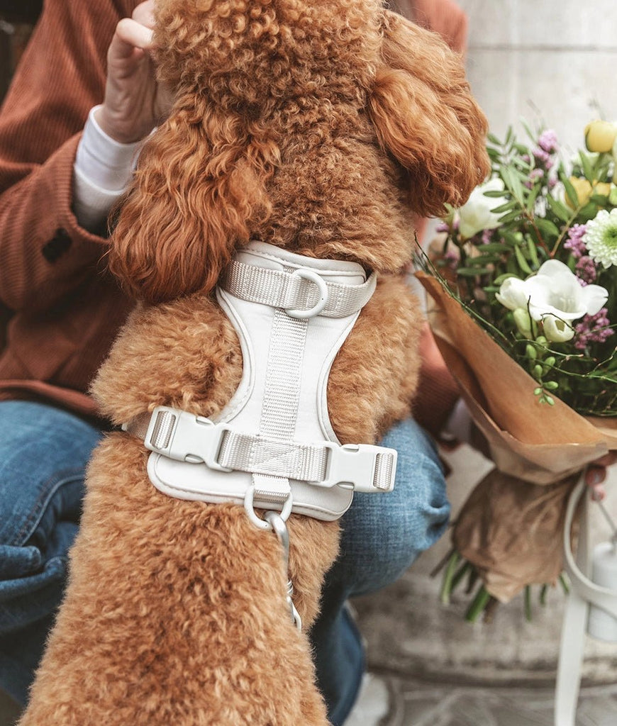 Beige Dog Harness - Le Wag