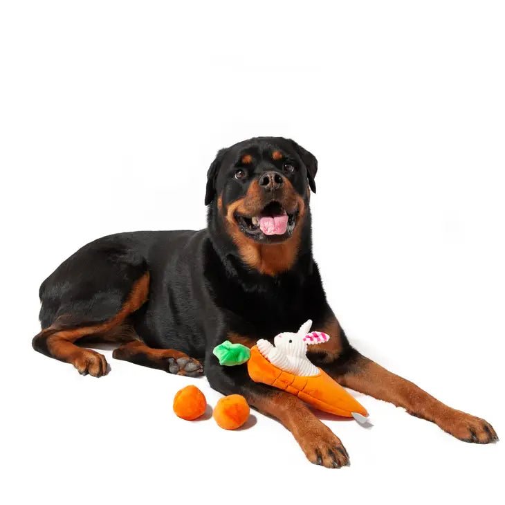 Carrot with Balls & Rabbit - Le Wag