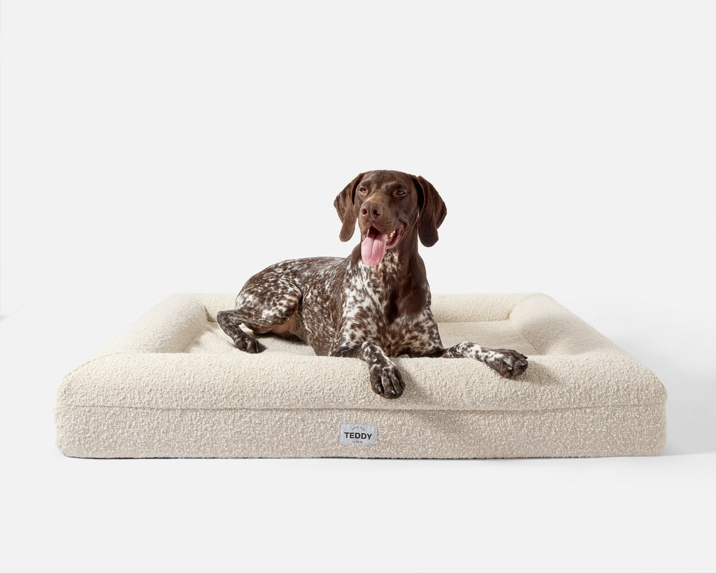 Large Boucle Bed - Le Wag