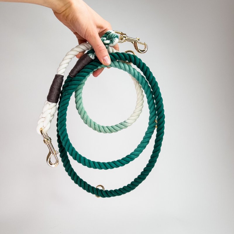 Shades of Green Cotton Rope Leash Multiple Way - Le Wag