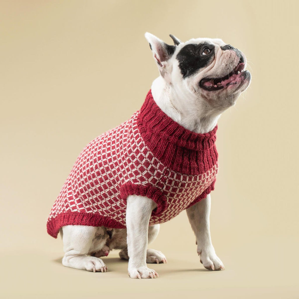 Squares Alpaca Dog Sweater - Red - Le Wag