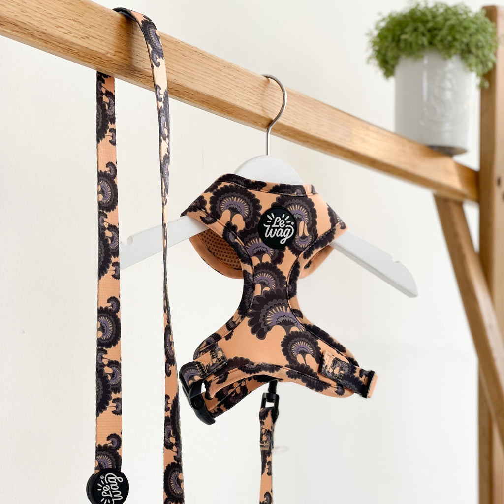 The Blossom Harness - Le Wag